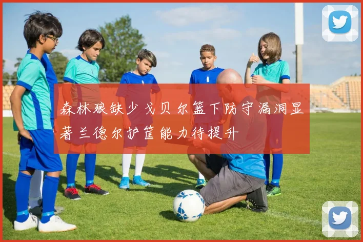 森林狼缺少戈贝尔篮下防守漏洞显著兰德尔护筐能力待提升